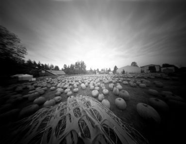 In October I started my "One Pinhole A Day" Project